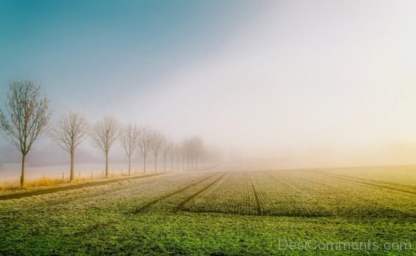 Sunrise Dawn Field