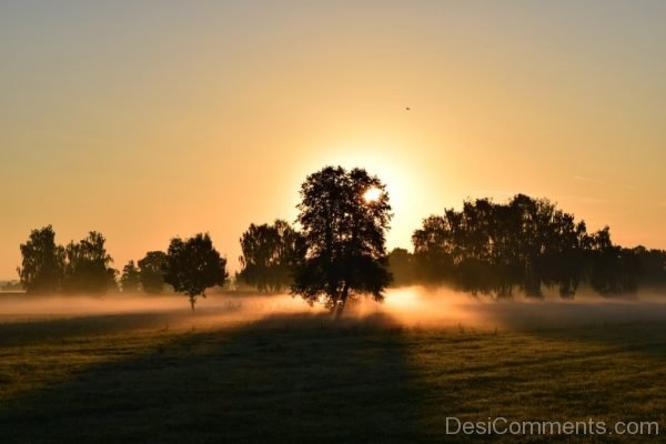 Sunrise Morning Mist