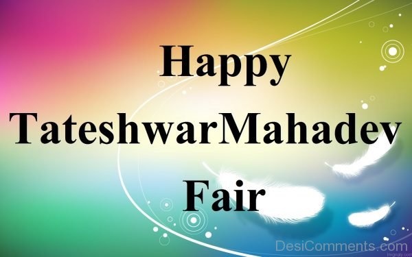 Happy Tateshwar Mahadev Fair