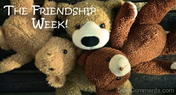 The Friendship Week