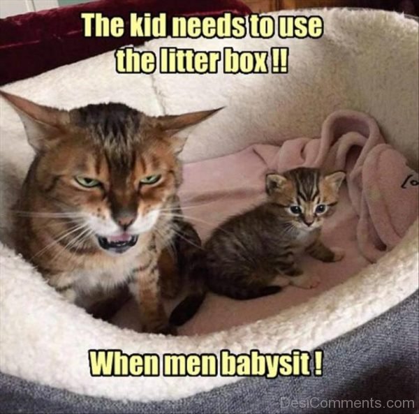 The Kid Needs To Use The Litter Box