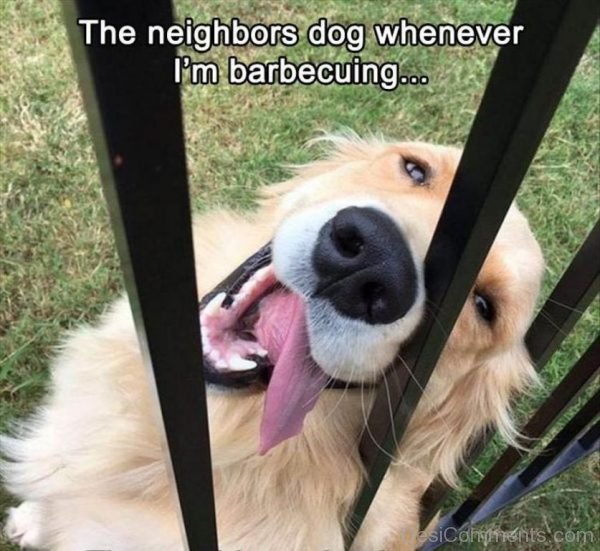 The Neighbors Dog Whenever I’m Barbecuing