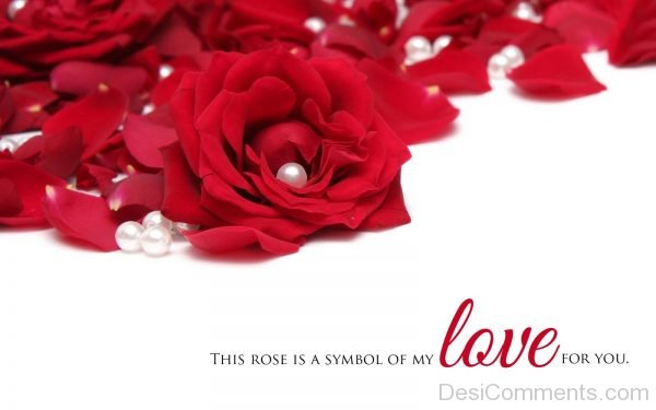 The Rose Is A Symbol Of My Love