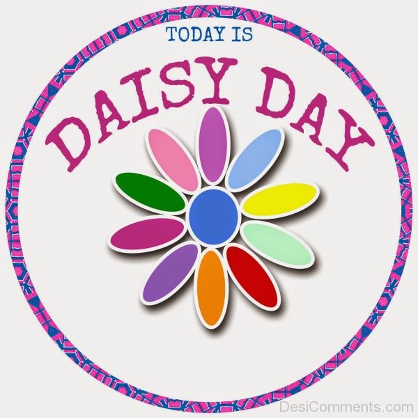 Today Is Daisy Day