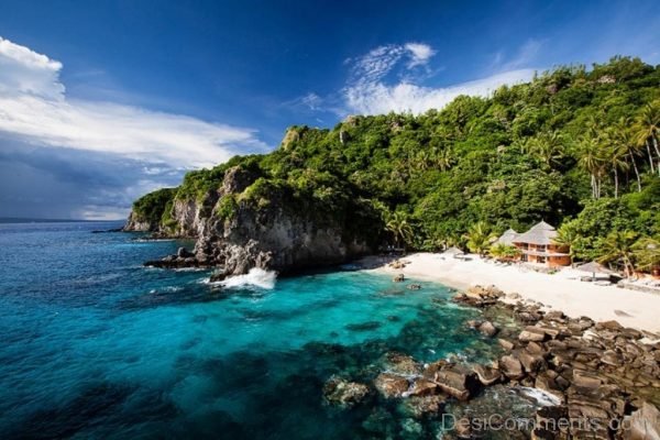 Tropical Island Beach Portfolio - Palm trees, White Sand, and Blue Water