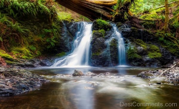 Washington Landscape Scenic Beautiful Solitude