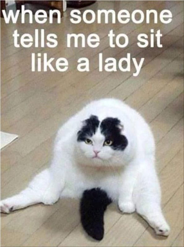 When Someone Tells Me To Sit Like A Lady