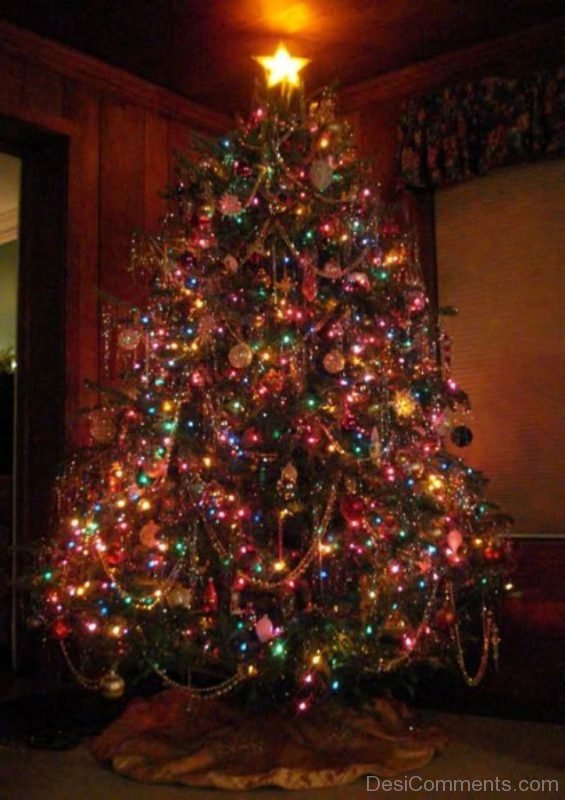 Wonderful Christmas Tree Light Day Pic