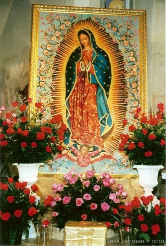 Wonderful Guadalupe Day Image