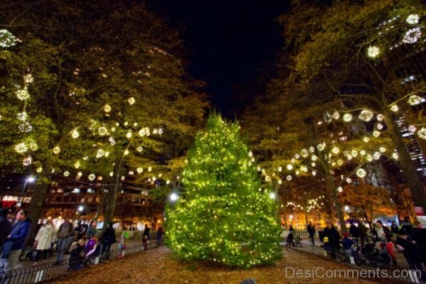 Wonderful Image Of Christmas Tree Light Day