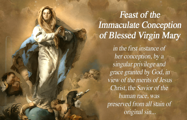 Wonderful Pic Of Feast of the Immaculate Conception