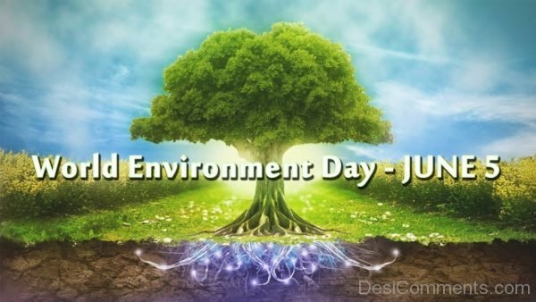 Wonderful Pic Of World Environment Day