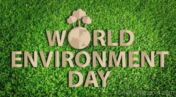 Wonderful World Environment Day Pic