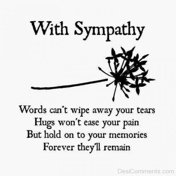 Words Cannot Wipe Away Your Tears