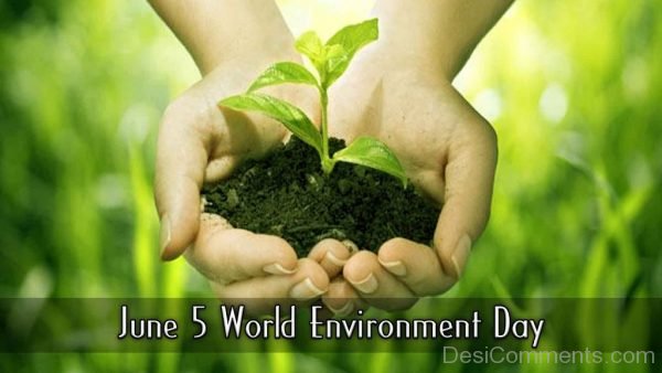 World Environment Day Picture