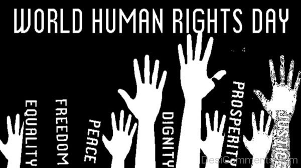 World Human Rights Day Pic