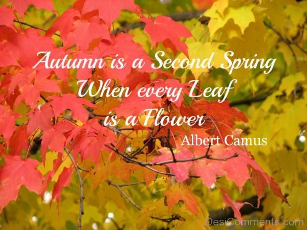 Autumn Is A Second Spring When Every Leaf Is A Flower