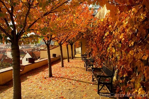 Awesome Image Of Autumn