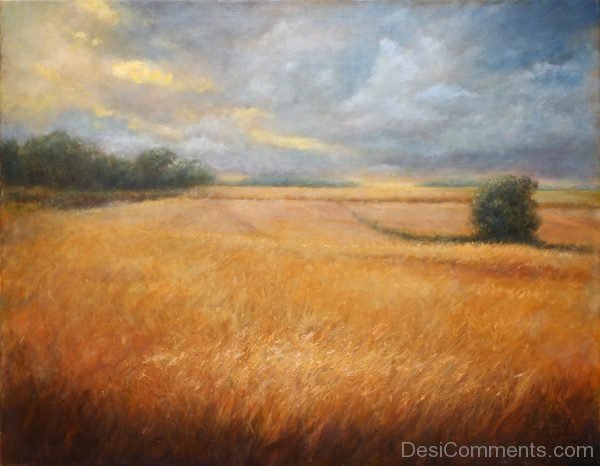 Barley Field Oil Painting