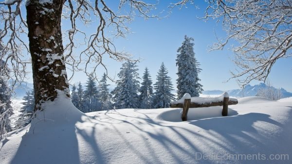 Beautiful Image Of Winter