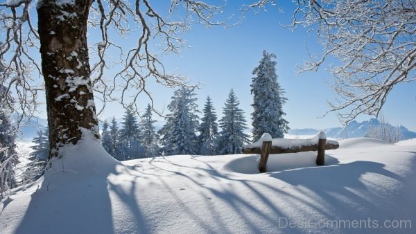 Beautiful Image Of Winter