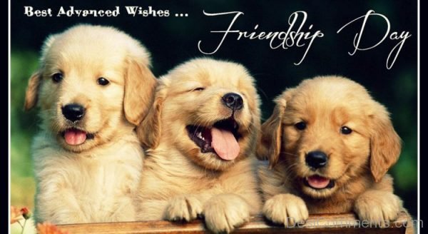 Best Advanced Wishes Friendship Day
