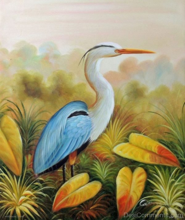 Bird Painting Image