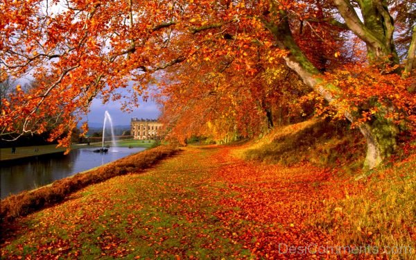 Brilliant Pic Of Autumn