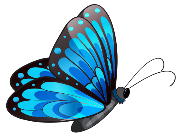 Clip Art Butterfly