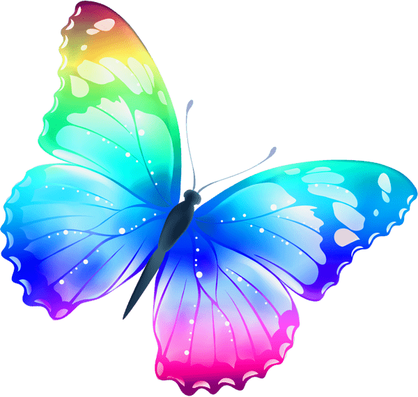 Colorful Butterfly Pic