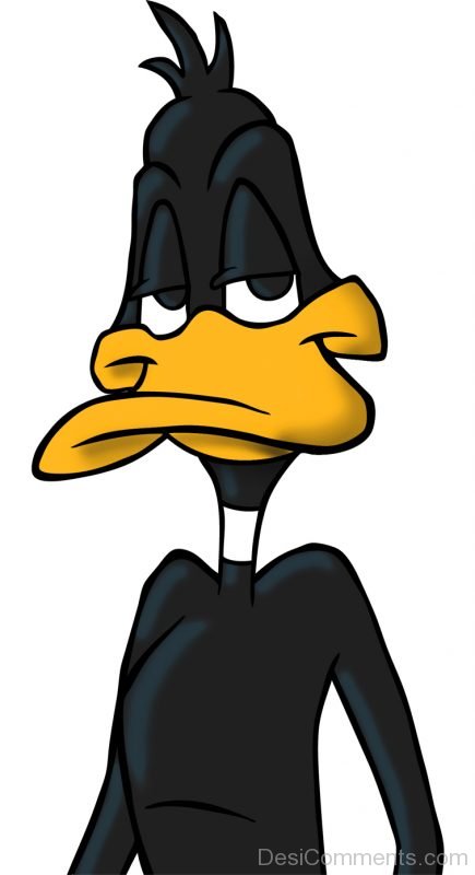 Daffy Duck Closeup