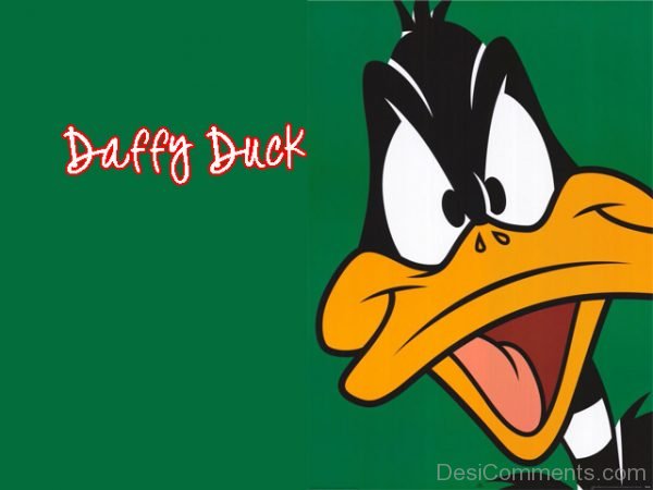 Daffy Duck – Nice Image