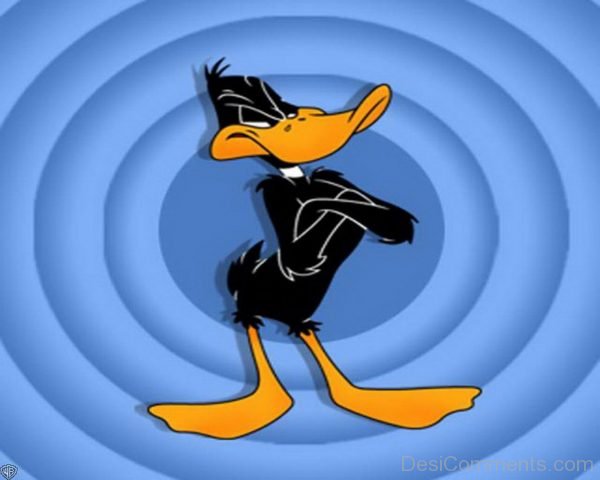 Daffy Duck – Nice Pic