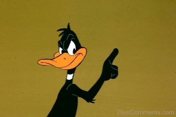 Daffy Duck - Picture
