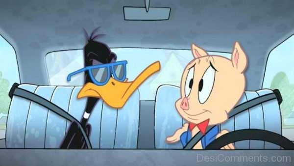 Daffy Duck With Porky Pig Driving Car