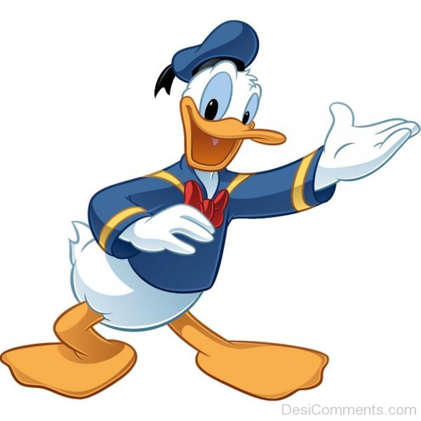 Donald-Duck Pic