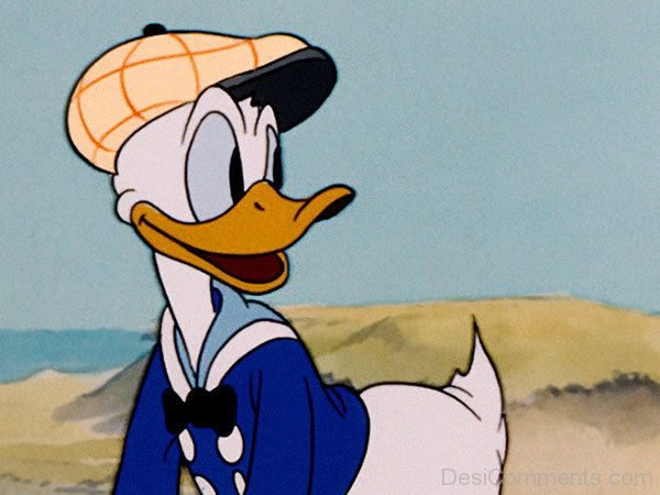 Donald Duck Looking Something