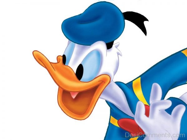 Donald Duck - Nice Image