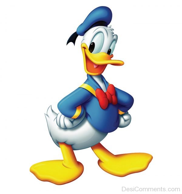 Donald Duck Picture