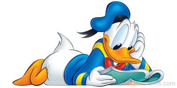 Donald Duck Reading Book