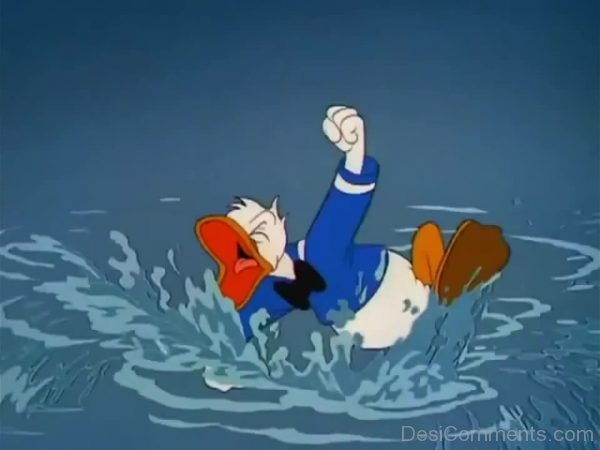 Donald Duck Swimming