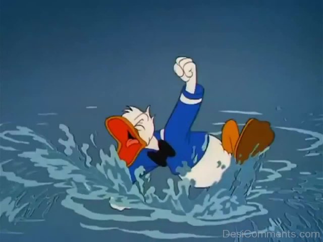 Donald Duck Swimming - DesiComments.com