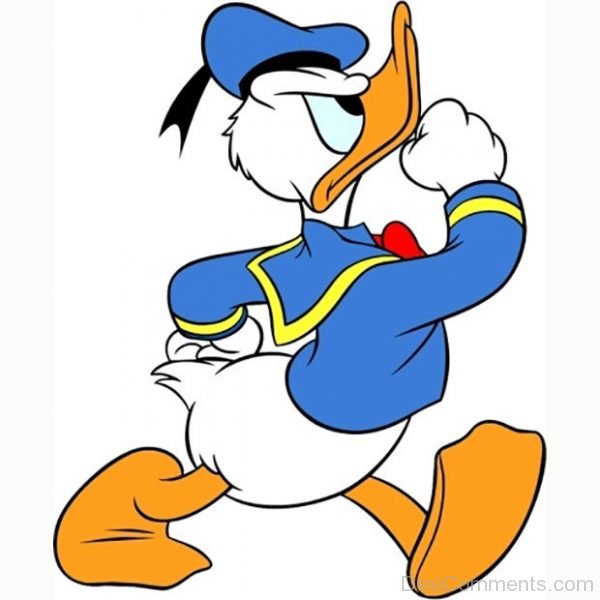 Donald Duck THinking Something Picture