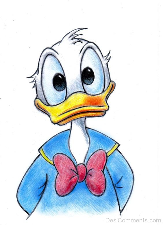 Donald Duck Sketch by Man0uk on DeviantArt  Donald duck drawing Disney  drawings Donald duck