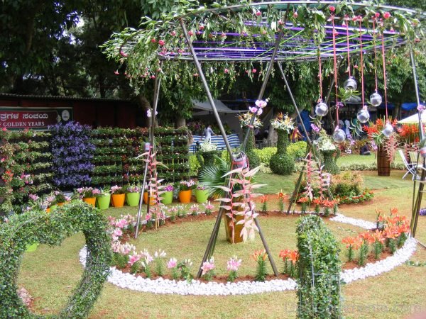 Flower Show In Delhi– August 2015
