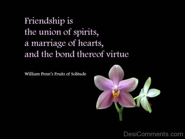 Friendship Is Union Of Spirits