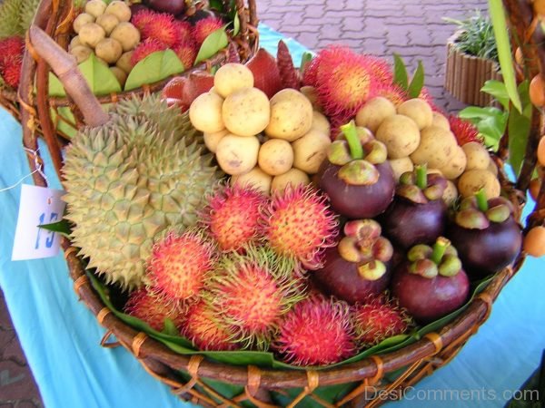 Fruit Festival Picture