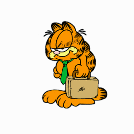 Garfield Holding Suitcase