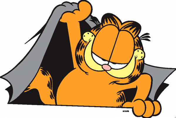 Garfield In The Blanket