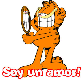 Garfield Looking Mirror